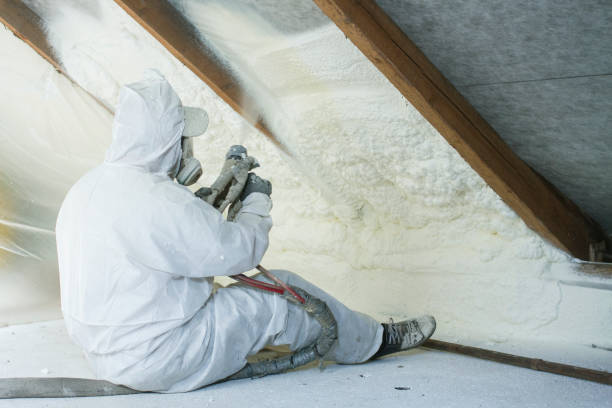 Professional Insulation Services in Leachville, AR